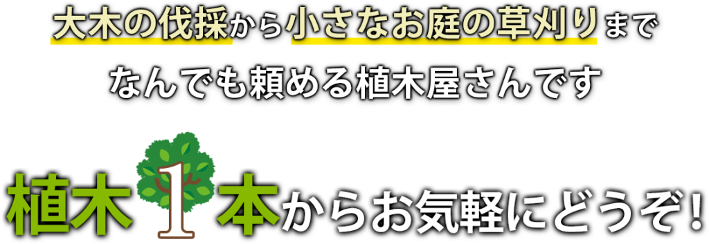 植木剪定、大木伐採・撤去、草刈りならお任せください【草刈り伐採、植木の営繕】川越市・行田市を中心に埼玉県全域対応