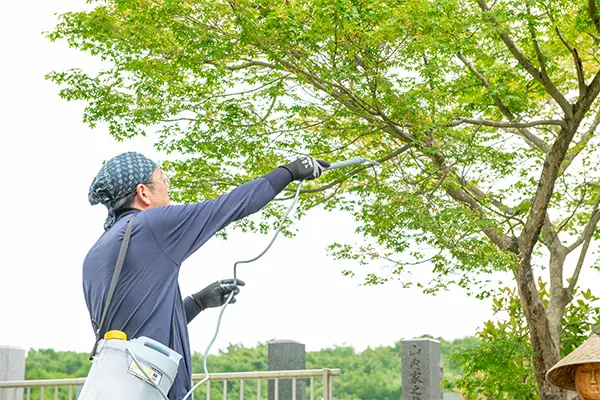 植木消毒・害虫対策 - 埼玉県川越市・行田市【草刈り伐採、植木 植木消毒・害虫対策 - 埼玉県川越市・行田市【草刈り伐採、植木